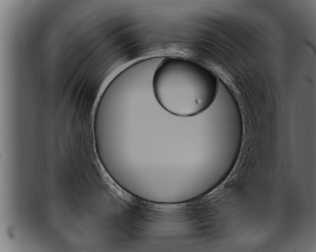 X0000094921200200711291015