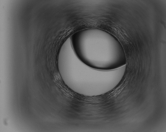 X0000094921201200711291014