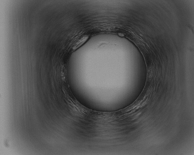 X0000094921202200711291014