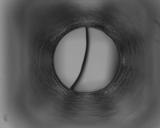 X0000094921204200711291014