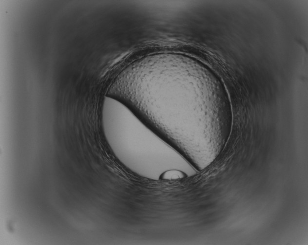 X0000094921205200711291015