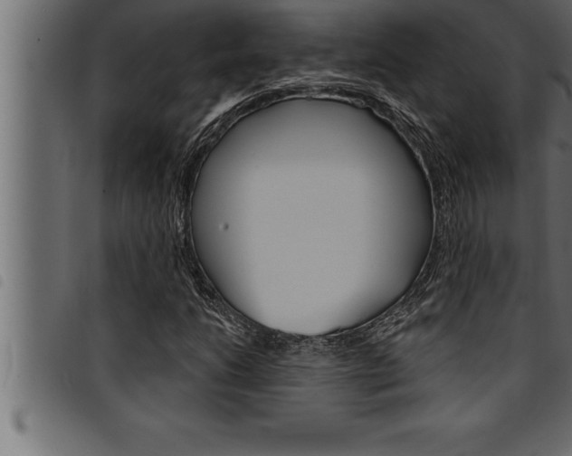 X0000094921206200711291015