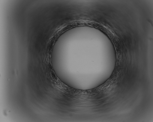 X0000094921207200711291015