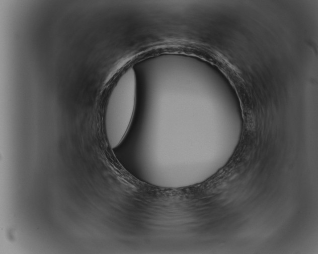 X0000094921208200711291015