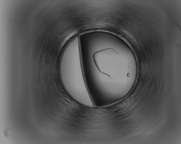 X0000094921210200711291015