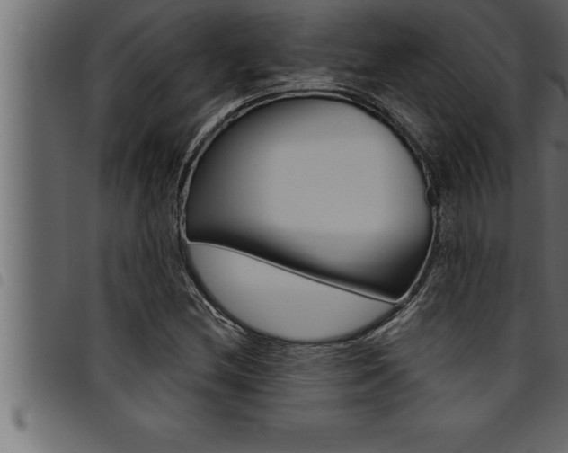 X0000094921212200711291015