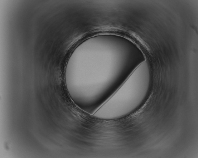 X0000094921213200711291015