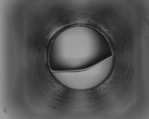 X0000094921214200711291015