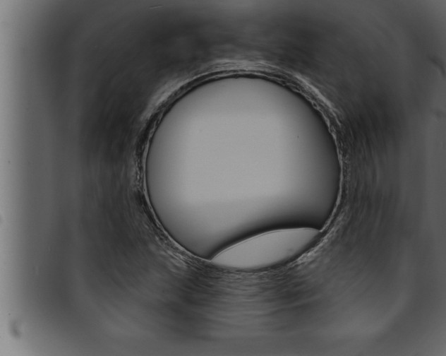 X0000094921215200711291015