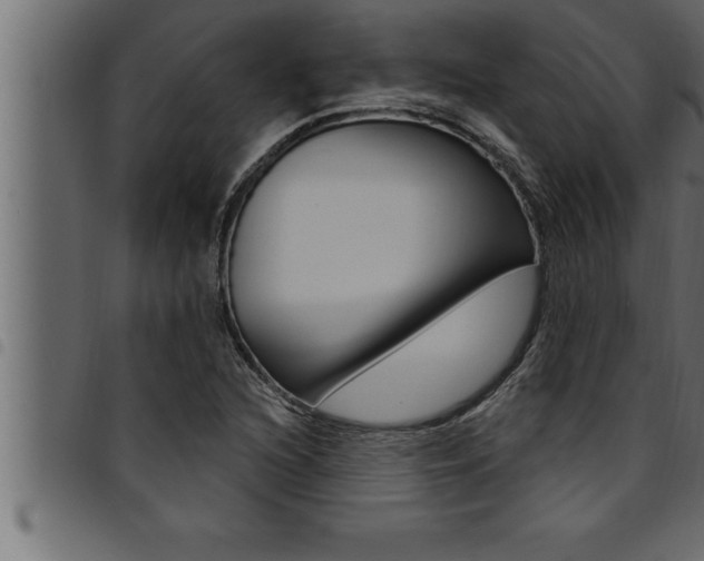 X0000094921216200711291015