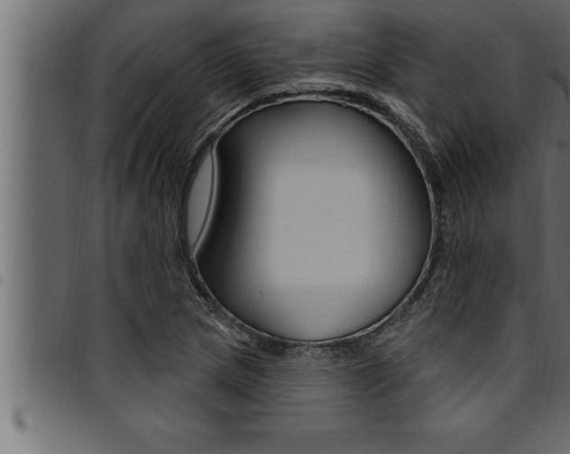 X0000094921217200711291015