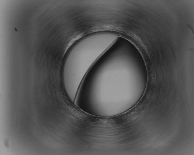 X0000094921218200711291015