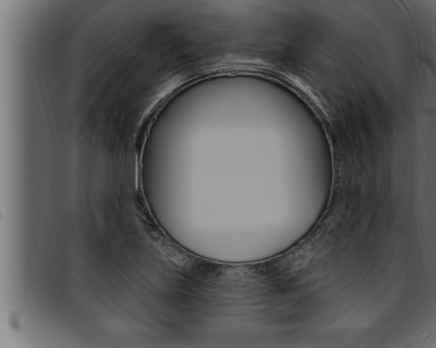 X0000094921219200711291015