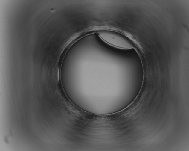 X0000094921221200711291015