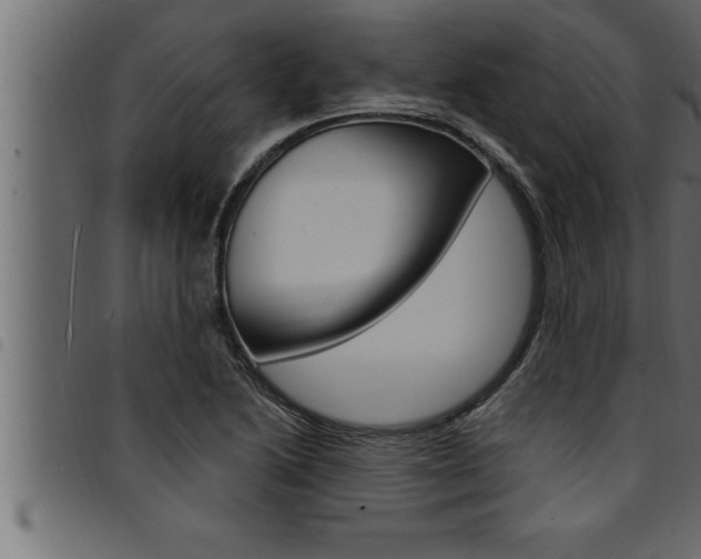 X0000094921222200711291015
