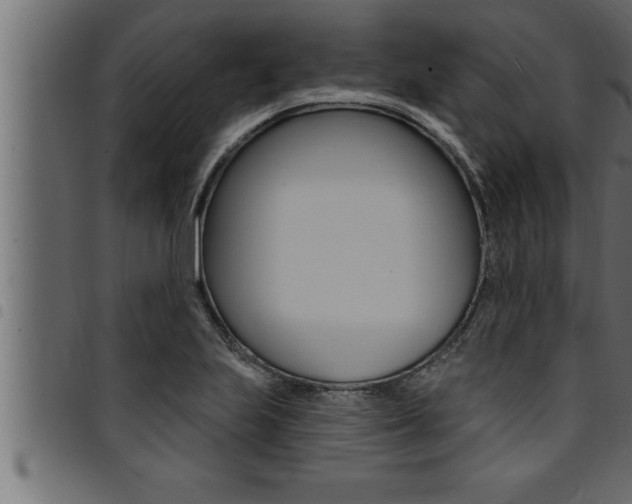 X0000094921223200711291015