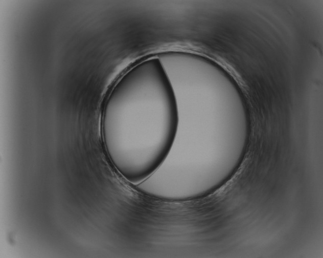 X0000094921224200711291015