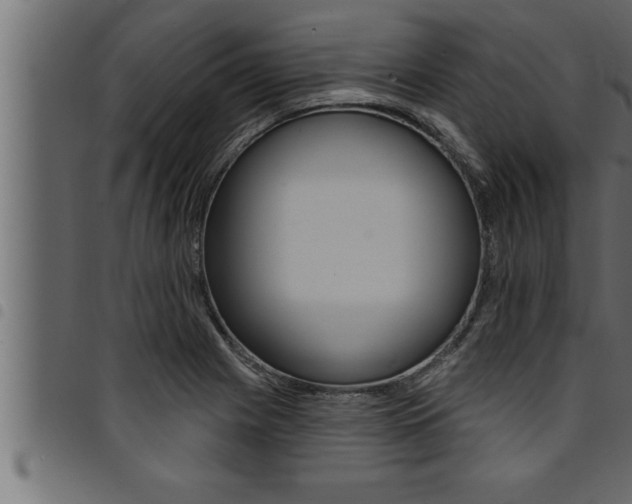 X0000094921225200711291015