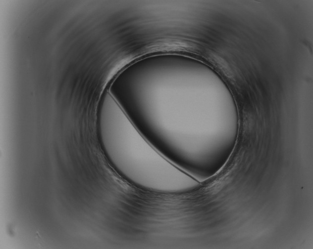 X0000094921226200711291015
