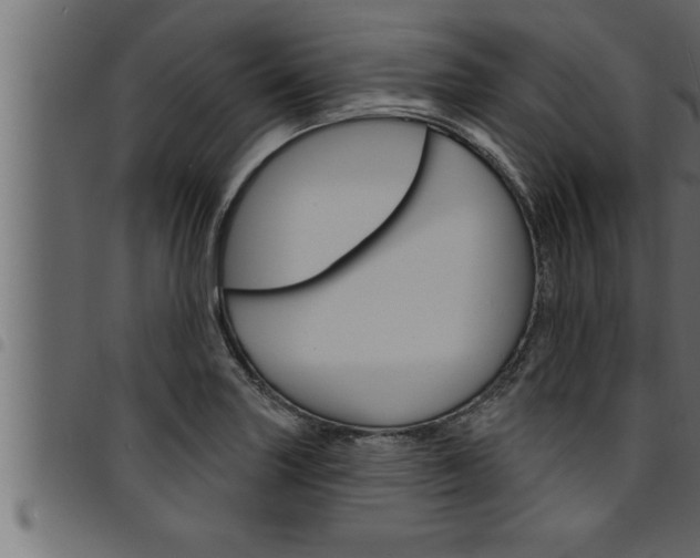 X0000094921227200711291015
