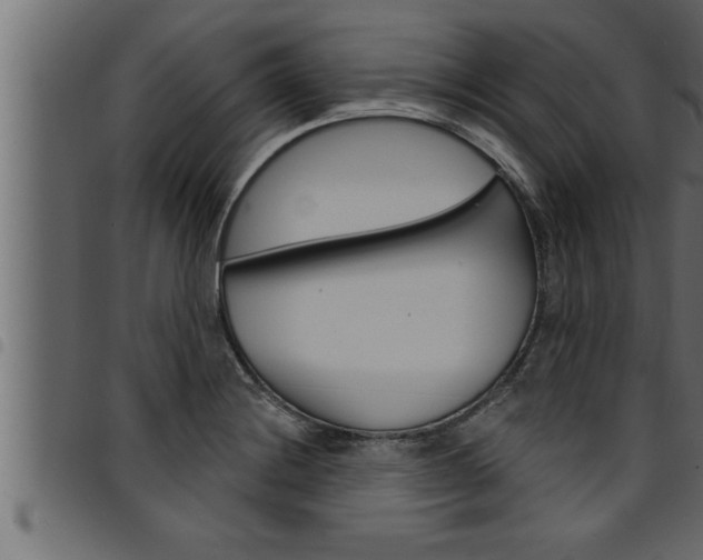 X0000094921228200711291015