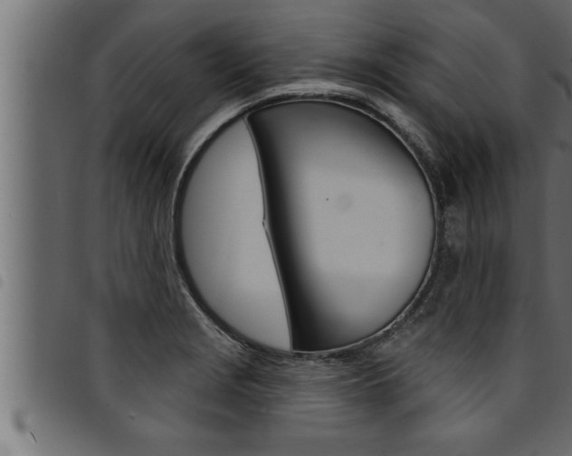 X0000094921229200711291015