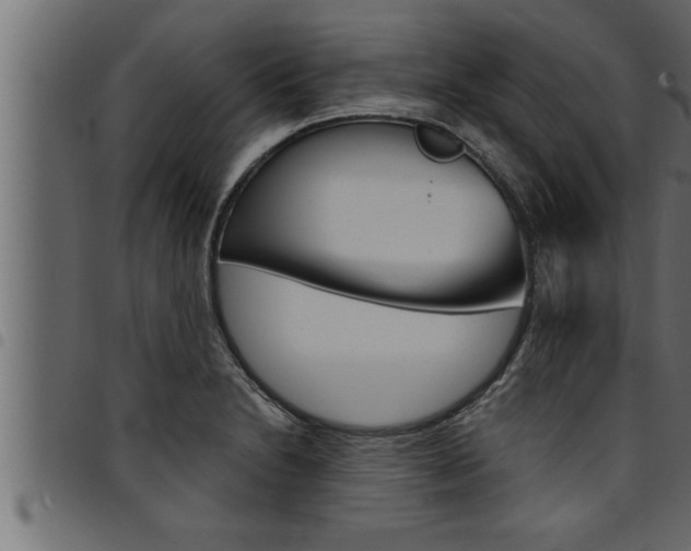 X0000094921230200711291015