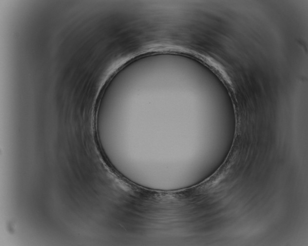 X0000094921231200711291015