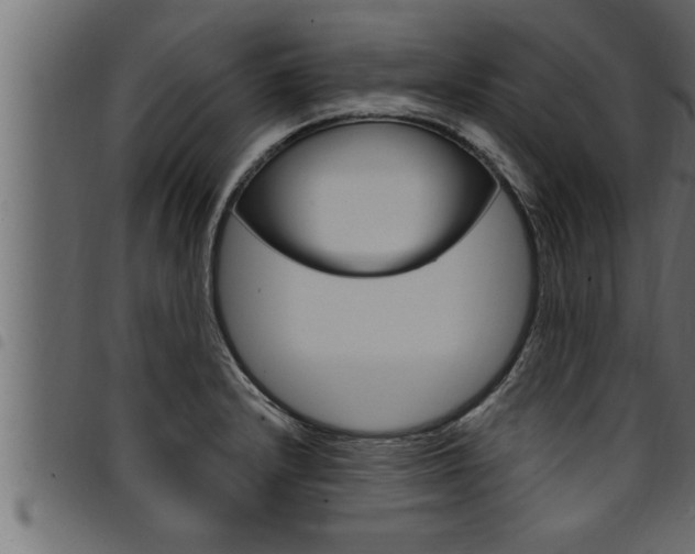 X0000094921232200711291015