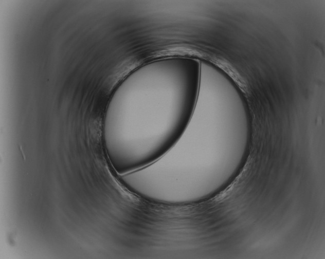 X0000094921233200711291015