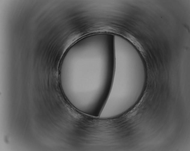 X0000094921234200711291015