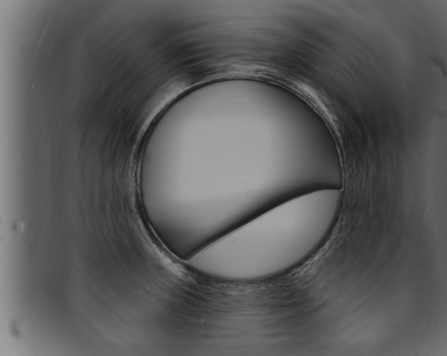 X0000094921235200711291015