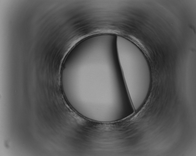 X0000094921236200711291015