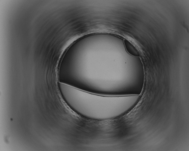 X0000094921238200711291015