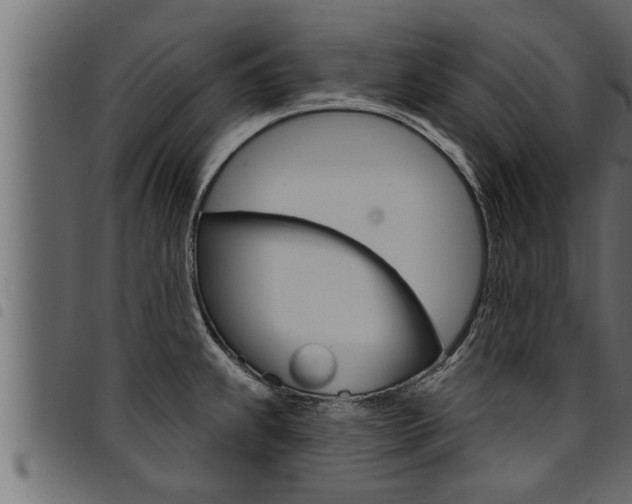 X0000094921239200711291015
