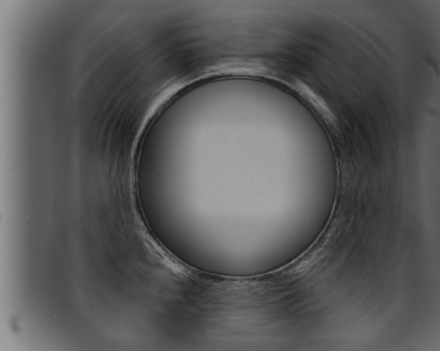 X0000094921240200711291015