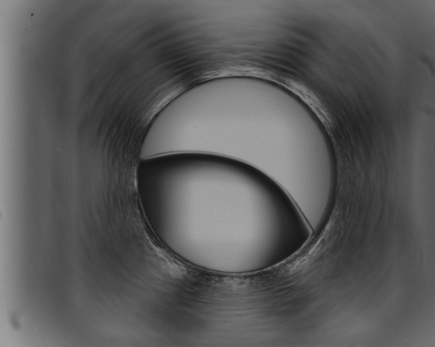 X0000094921241200711291015