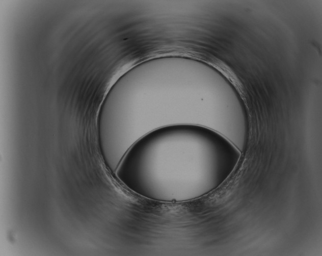 X0000094921242200711291015