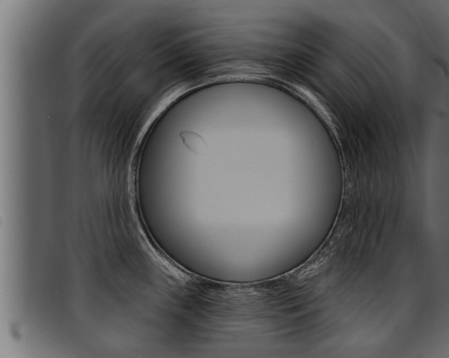 X0000094921243200711291015