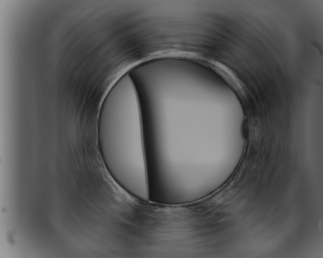 X0000094921244200711291015