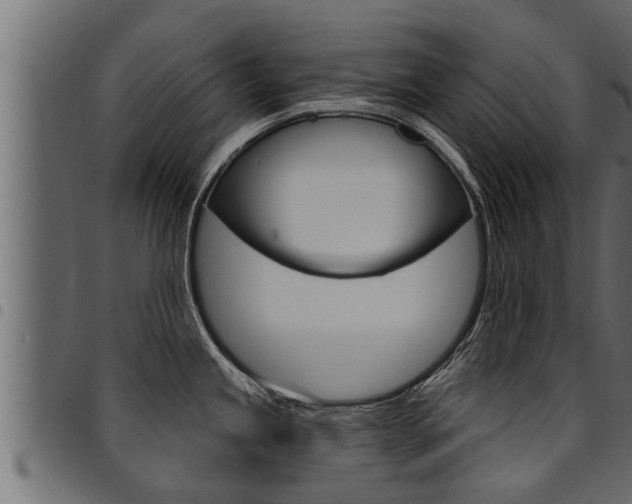 X0000094921245200711291015