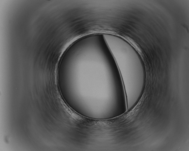 X0000094921246200711291015