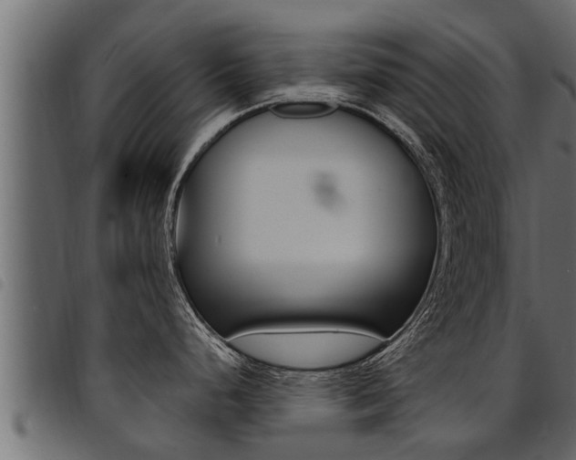 X0000094921248200711291015
