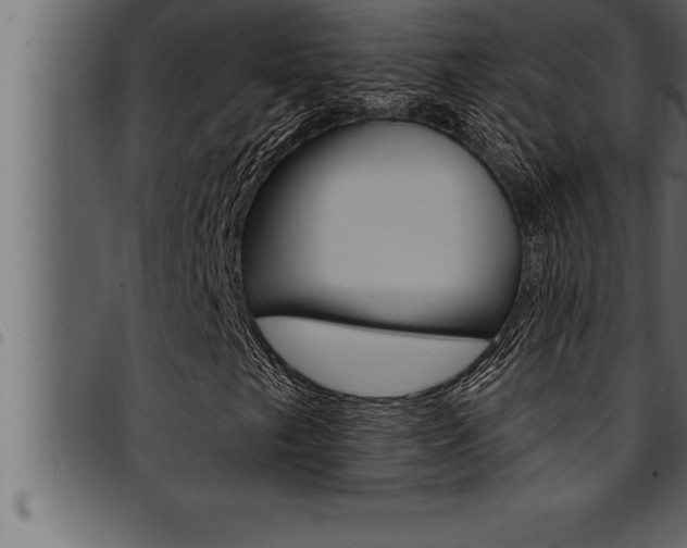 X0000094921249200711291014