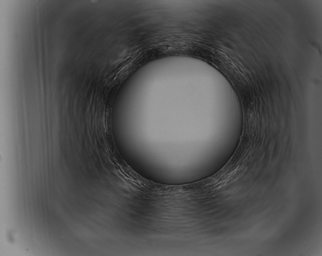 X0000094921250200711291014