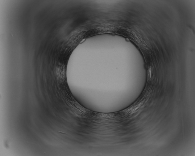 X0000094921251200711291014