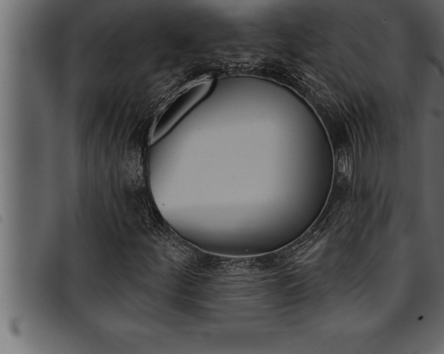 X0000094921252200711291014