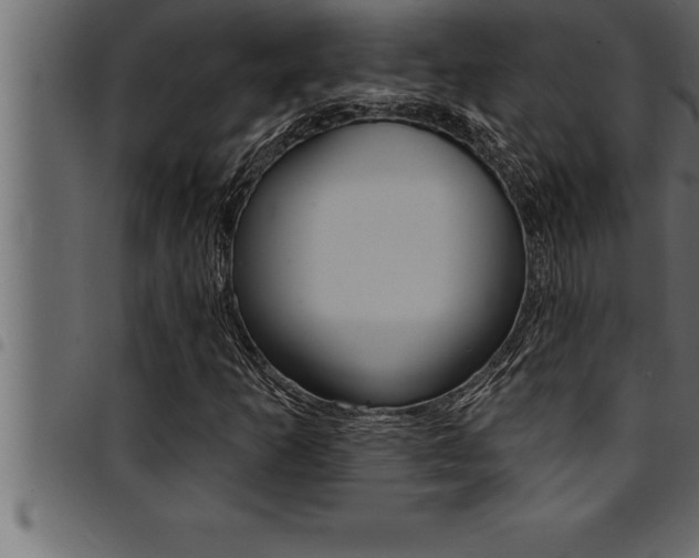 X0000094921253200711291014