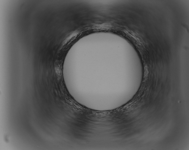 X0000094921254200711291014