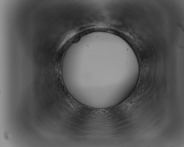 X0000094921255200711291014